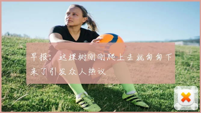 早报：这棵树刚刚爬上去就匆匆下来了引发众人热议